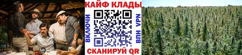 Где можно купить наркотики Гороховец KRAKEN ONION Героин COCAIN МЕФ Каннабис A PVP ГАШ