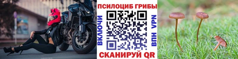 цены   Гороховец  Галлюциногенные грибы ЛСД 
